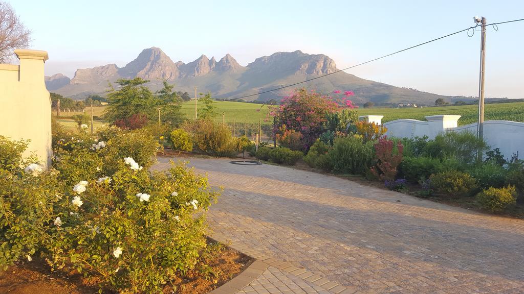 Dieu Donne Stellenbosch Buitenkant foto