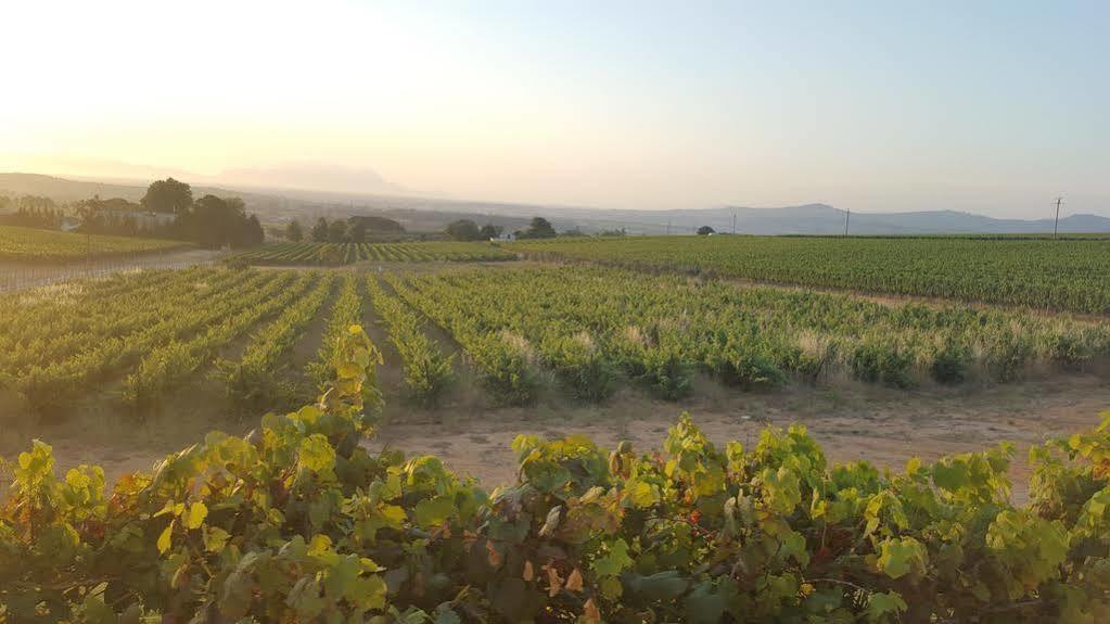 Dieu Donne Stellenbosch Buitenkant foto